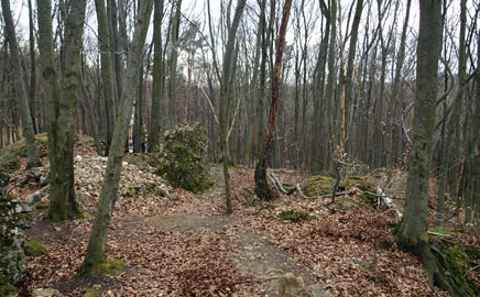 las ostrężnicki