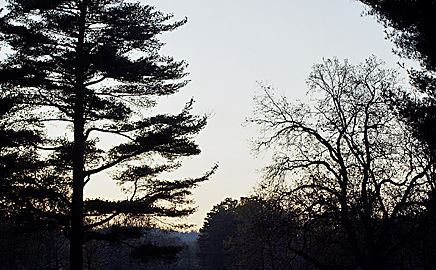 Park w Świerklańcu wzorowany na angielskim Hyde Parku