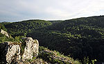 panorama Doliny Prądnika