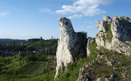 panorama na zamek w Olsztynie