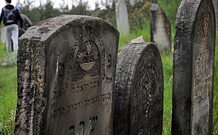 nagrobki na cmentarzu żydowskim w Żarkach