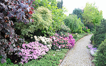 Ogród Śląski w Świerklańcu
